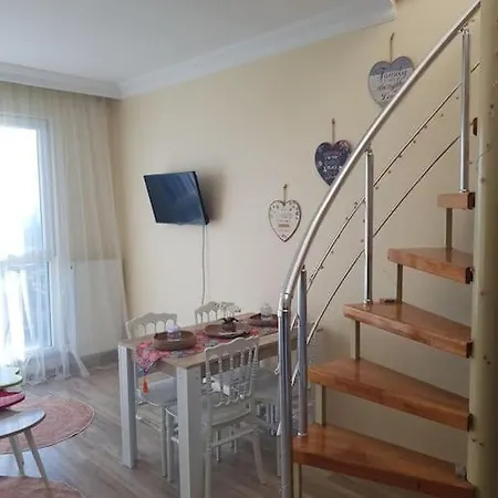 Apartment Silver Spring With Terrace Vibes