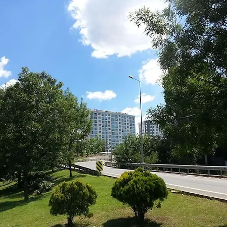 Silver Spring With Terrace Vibes *